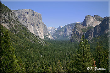 Blick auf das Yosemite Valley